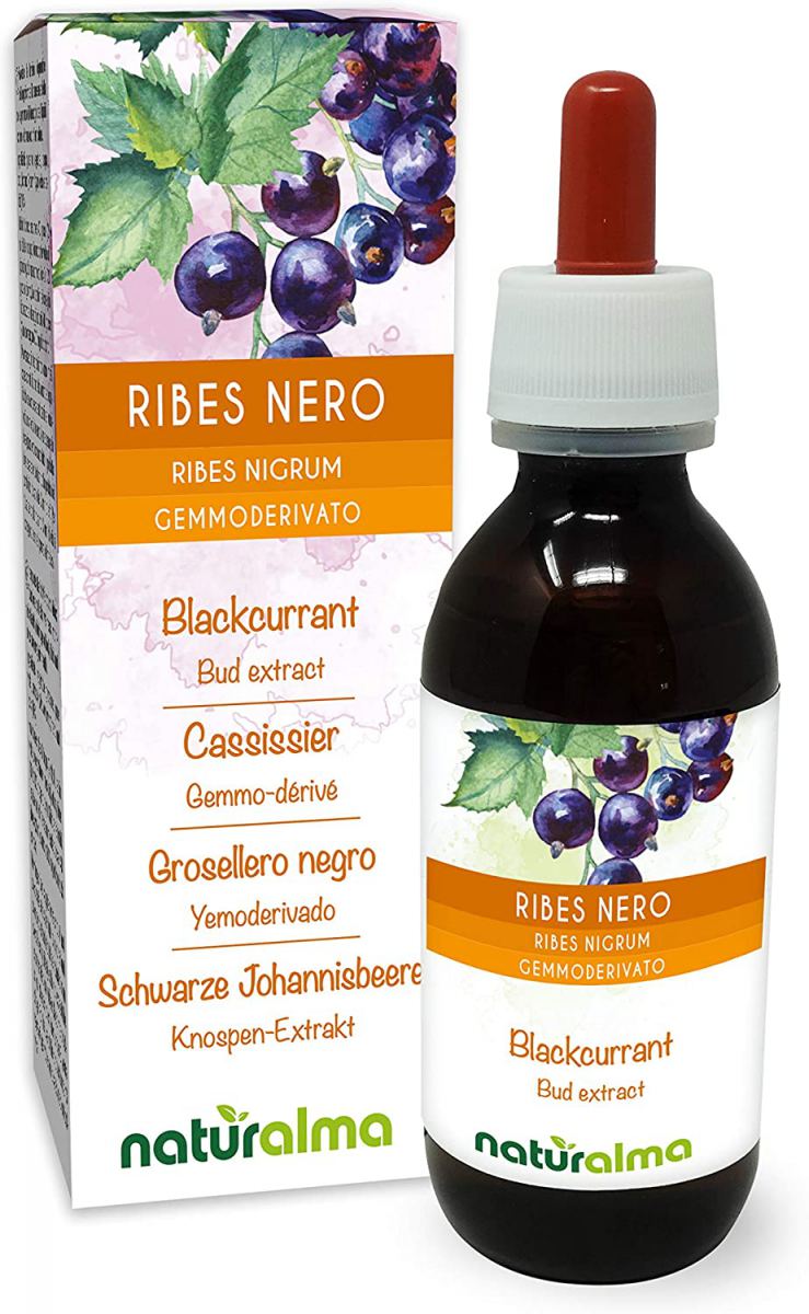 Ribes nero (Ribes nigrum) foglie e frutti Tintura Madre analcoolica | Estratto liquido gocce 120 ml | Integratore alimentare | Vegano - Naturalma